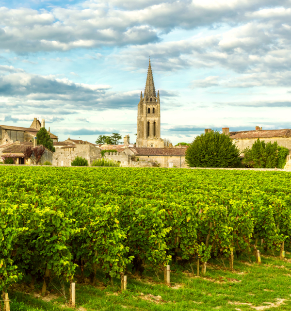 Brilliant Bordeaux